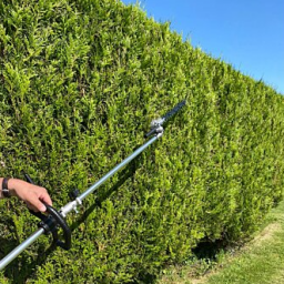 Taille haies sur perche thermique fil