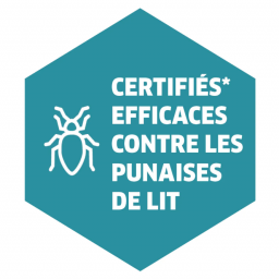 NETTOYEUR VAPEUR KARCHER